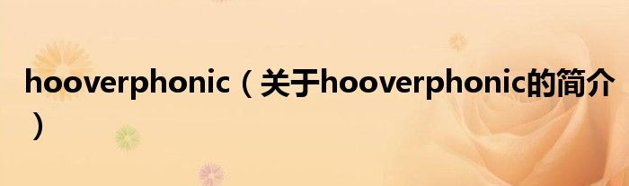 hooverphonic（關于hooverphonic的簡介）