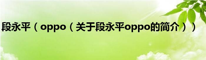 段永平（oppo（關(guān)于段永平oppo的簡(jiǎn)介））