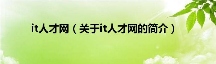 it人才網(wǎng)（關(guān)于it人才網(wǎng)的簡介）