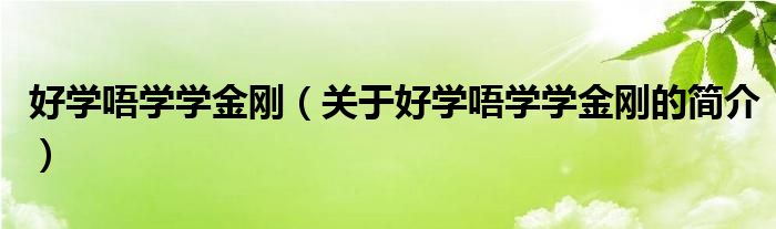 好學(xué)唔學(xué)學(xué)金剛（關(guān)于好學(xué)唔學(xué)學(xué)金剛的簡介）