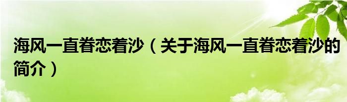 海風一直眷戀著沙（關(guān)于海風一直眷戀著沙的簡介）