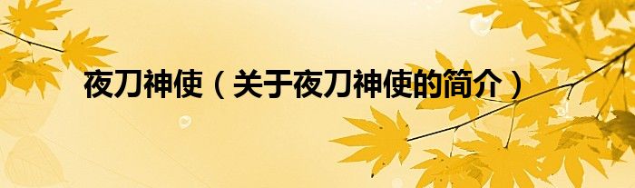 夜刀神使（關(guān)于夜刀神使的簡介）