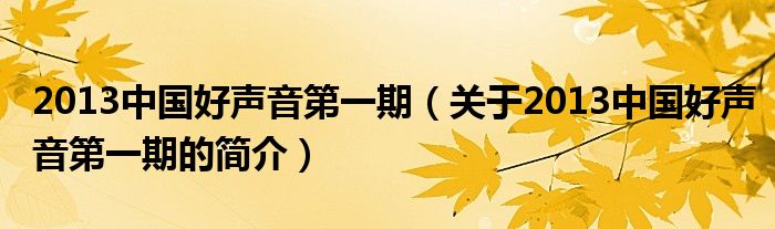 2013中國(guó)好聲音第一期（關(guān)于2013中國(guó)好聲音第一期的簡(jiǎn)介）