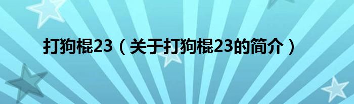 打狗棍23（關于打狗棍23的簡介）