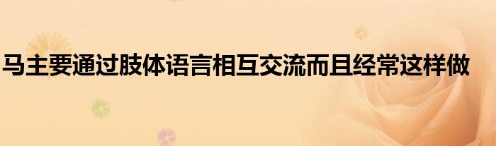 馬主要通過肢體語言相互交流而且經常這樣做