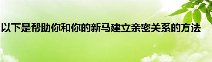 以下是幫助你和你的新馬建立親密關(guān)系的方法