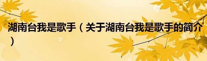 湖南臺(tái)我是歌手（關(guān)于湖南臺(tái)我是歌手的簡(jiǎn)介）