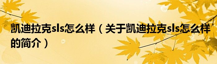 凱迪拉克sls怎么樣（關(guān)于凱迪拉克sls怎么樣的簡(jiǎn)介）