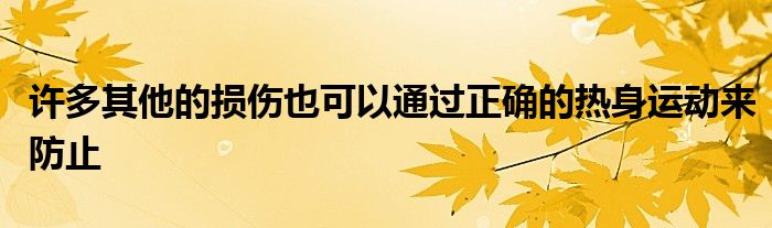 許多其他的損傷也可以通過正確的熱身運(yùn)動來防止