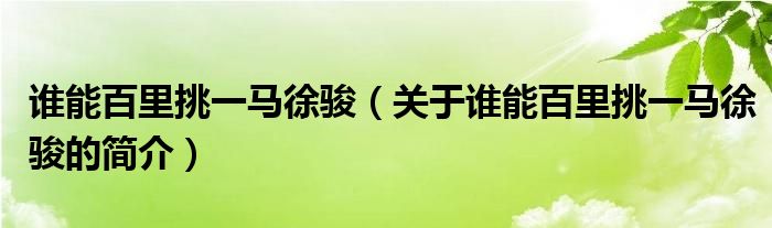 誰(shuí)能百里挑一馬徐駿（關(guān)于誰(shuí)能百里挑一馬徐駿的簡(jiǎn)介）