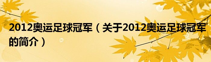 2012奧運(yùn)足球冠軍（關(guān)于2012奧運(yùn)足球冠軍的簡(jiǎn)介）