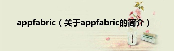 appfabric（關于appfabric的簡介）