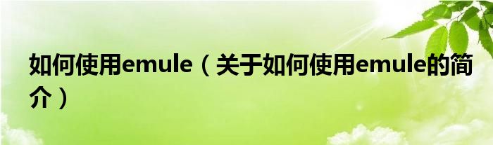 如何使用emule（關(guān)于如何使用emule的簡(jiǎn)介）