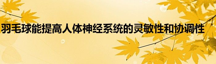 羽毛球能提高人體神經系統(tǒng)的靈敏性和協(xié)調性