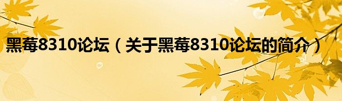 黑莓8310論壇（關(guān)于黑莓8310論壇的簡介）