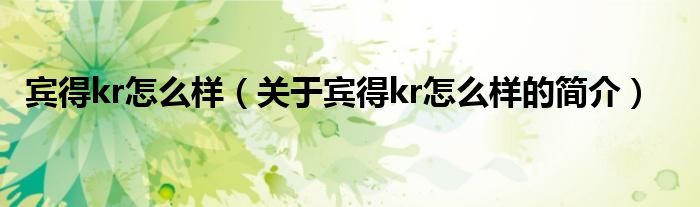 賓得kr怎么樣（關于賓得kr怎么樣的簡介）