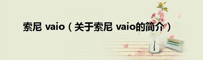 索尼 vaio（關于索尼 vaio的簡介）