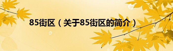 85街區(qū)（關(guān)于85街區(qū)的簡(jiǎn)介）