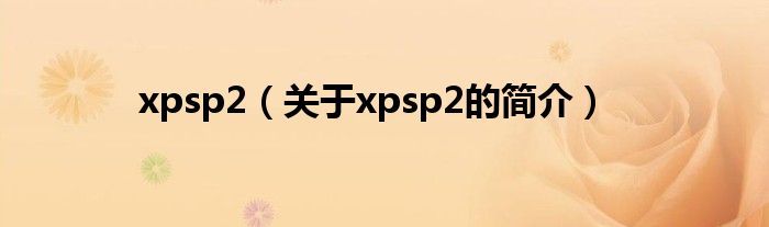 xpsp2（關(guān)于xpsp2的簡(jiǎn)介）