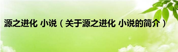 源之進(jìn)化 小說(shuō)（關(guān)于源之進(jìn)化 小說(shuō)的簡(jiǎn)介）