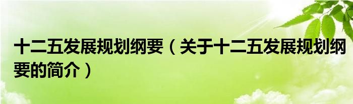 十二五發(fā)展規(guī)劃綱要（關(guān)于十二五發(fā)展規(guī)劃綱要的簡介）