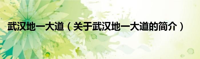 武漢地一大道（關(guān)于武漢地一大道的簡(jiǎn)介）