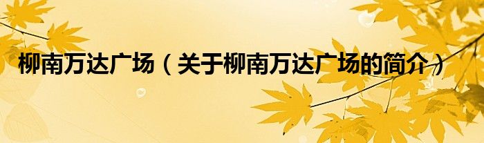 柳南萬達廣場（關于柳南萬達廣場的簡介）