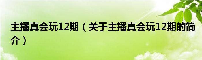 主播真會玩12期（關于主播真會玩12期的簡介）