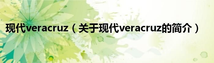 現(xiàn)代veracruz（關于現(xiàn)代veracruz的簡介）