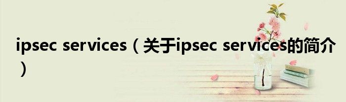 ipsec services（關(guān)于ipsec services的簡(jiǎn)介）