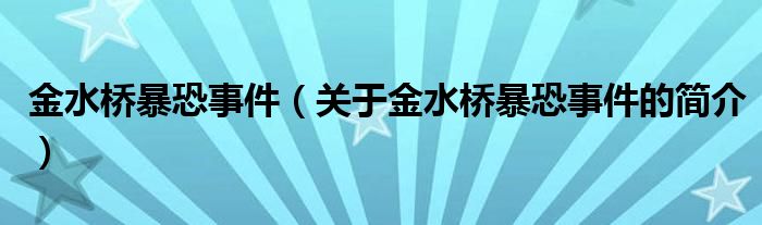 金水橋暴恐事件（關(guān)于金水橋暴恐事件的簡介）