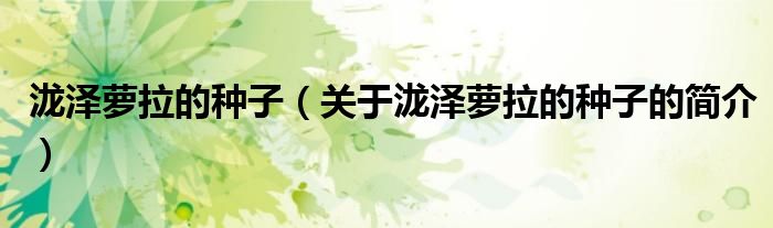 瀧澤蘿拉的種子（關(guān)于瀧澤蘿拉的種子的簡(jiǎn)介）