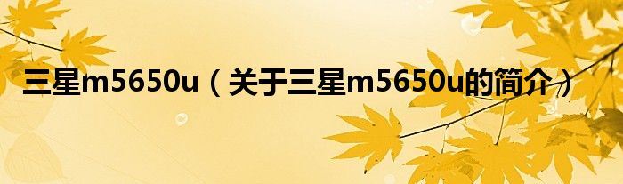 三星m5650u（關于三星m5650u的簡介）