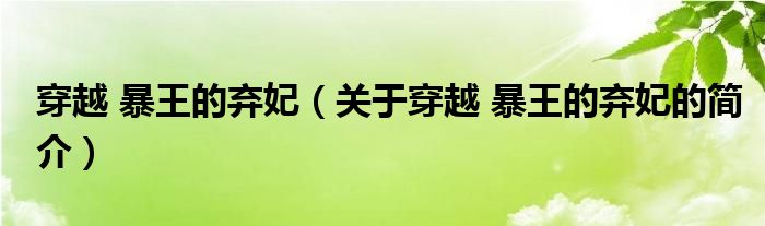 穿越 暴王的棄妃（關(guān)于穿越 暴王的棄妃的簡(jiǎn)介）