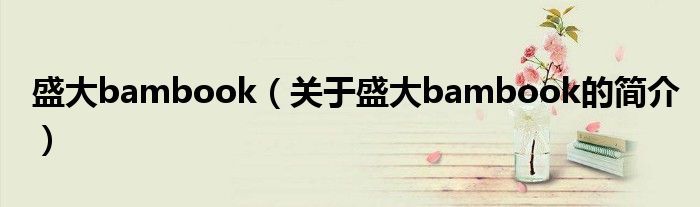 盛大bambook（關于盛大bambook的簡介）