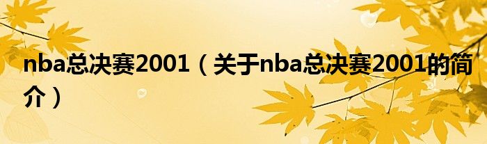 nba總決賽2001（關(guān)于nba總決賽2001的簡(jiǎn)介）