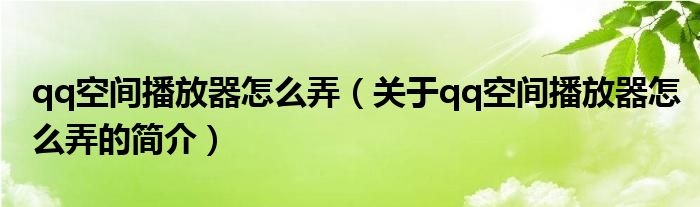 qq空間播放器怎么弄（關(guān)于qq空間播放器怎么弄的簡(jiǎn)介）