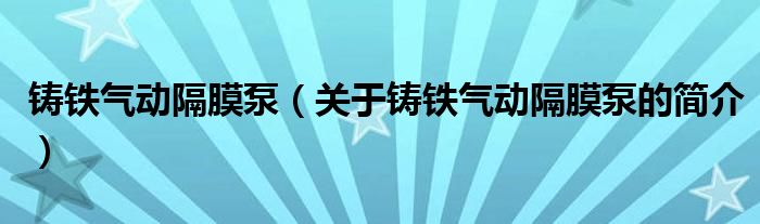 鑄鐵氣動隔膜泵（關(guān)于鑄鐵氣動隔膜泵的簡介）