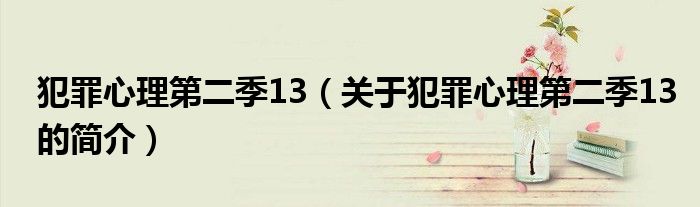 犯罪心理第二季13（關(guān)于犯罪心理第二季13的簡(jiǎn)介）