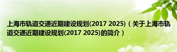 上海市軌道交通近期建設(shè)規(guī)劃(2017 2025)（關(guān)于上海市軌道交通近期建設(shè)規(guī)劃(2017 2025)的簡介）