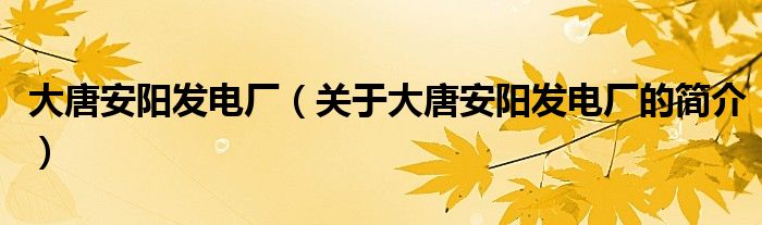 大唐安陽發(fā)電廠（關于大唐安陽發(fā)電廠的簡介）