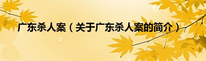 廣東殺人案（關(guān)于廣東殺人案的簡介）