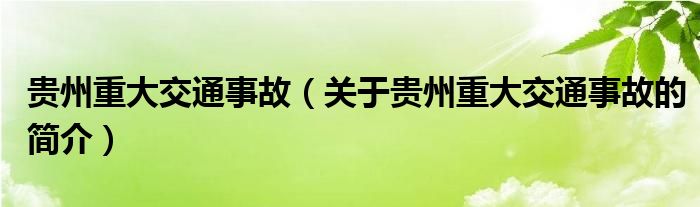 貴州重大交通事故（關(guān)于貴州重大交通事故的簡介）