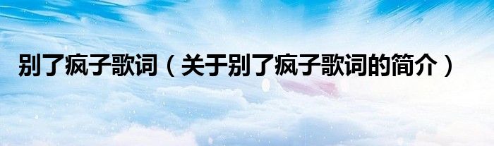 別了瘋子歌詞（關(guān)于別了瘋子歌詞的簡介）