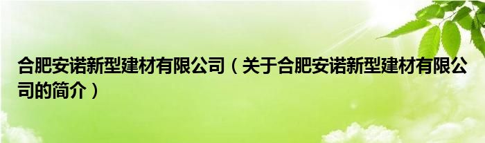 合肥安諾新型建材有限公司（關(guān)于合肥安諾新型建材有限公司的簡(jiǎn)介）