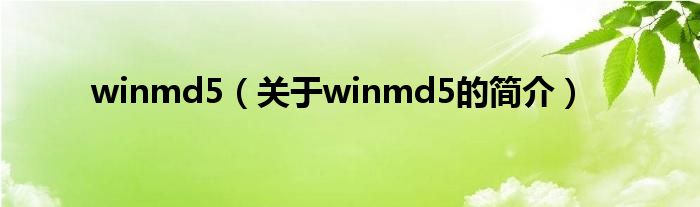 winmd5（關(guān)于winmd5的簡介）