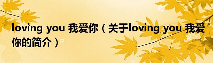 loving you 我愛(ài)你（關(guān)于loving you 我愛(ài)你的簡(jiǎn)介）