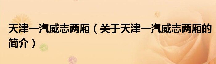 天津一汽威志兩廂（關(guān)于天津一汽威志兩廂的簡(jiǎn)介）