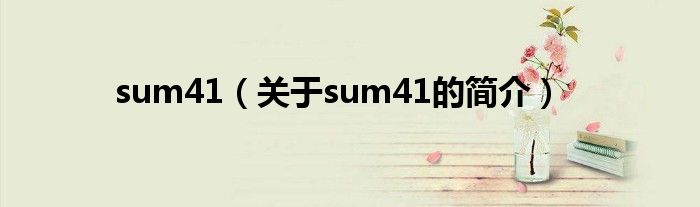 sum41（關(guān)于sum41的簡介）