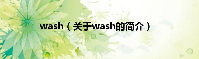 wash（關(guān)于wash的簡(jiǎn)介）